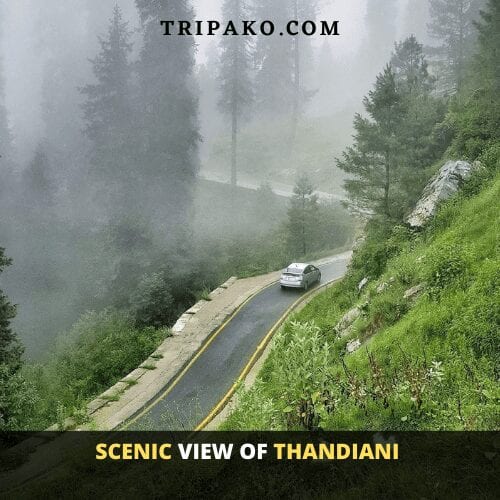 Thandiani - The Nost favorite Hill station