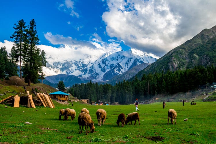lahore to fairy meadows tour packages