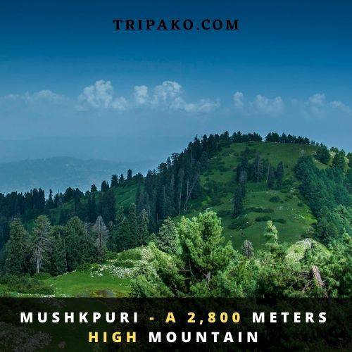 Mushkpuri Top An Alluring Peak In Nathia Gali