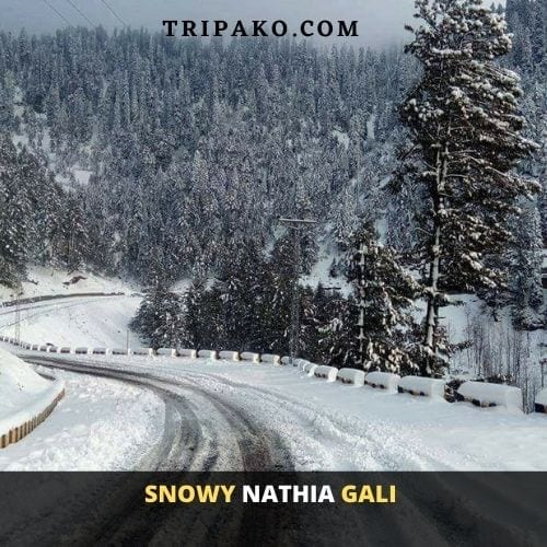 Winters in Nathia Gali