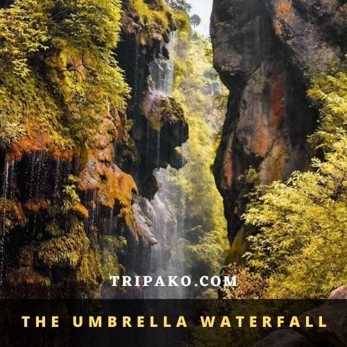 Alluring Site At Umbrella Waterfall