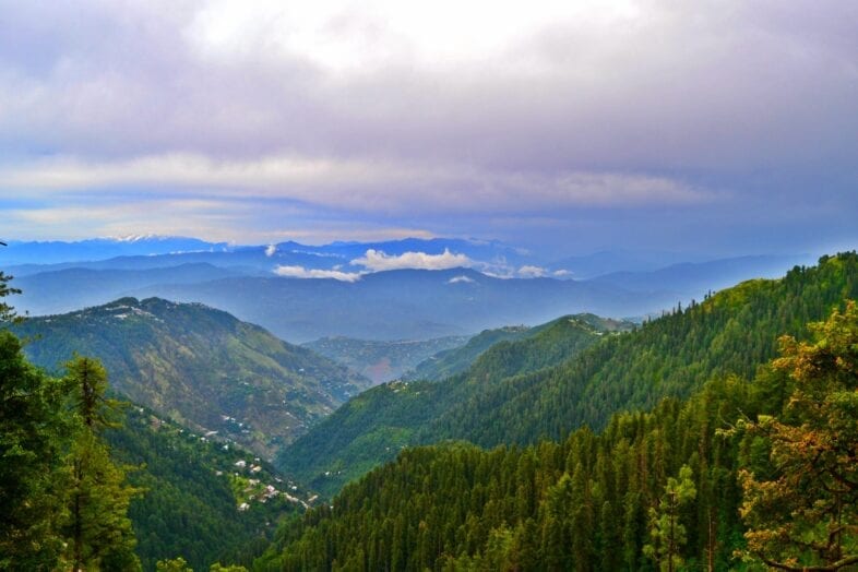 Ayubia: National Park - Tripako