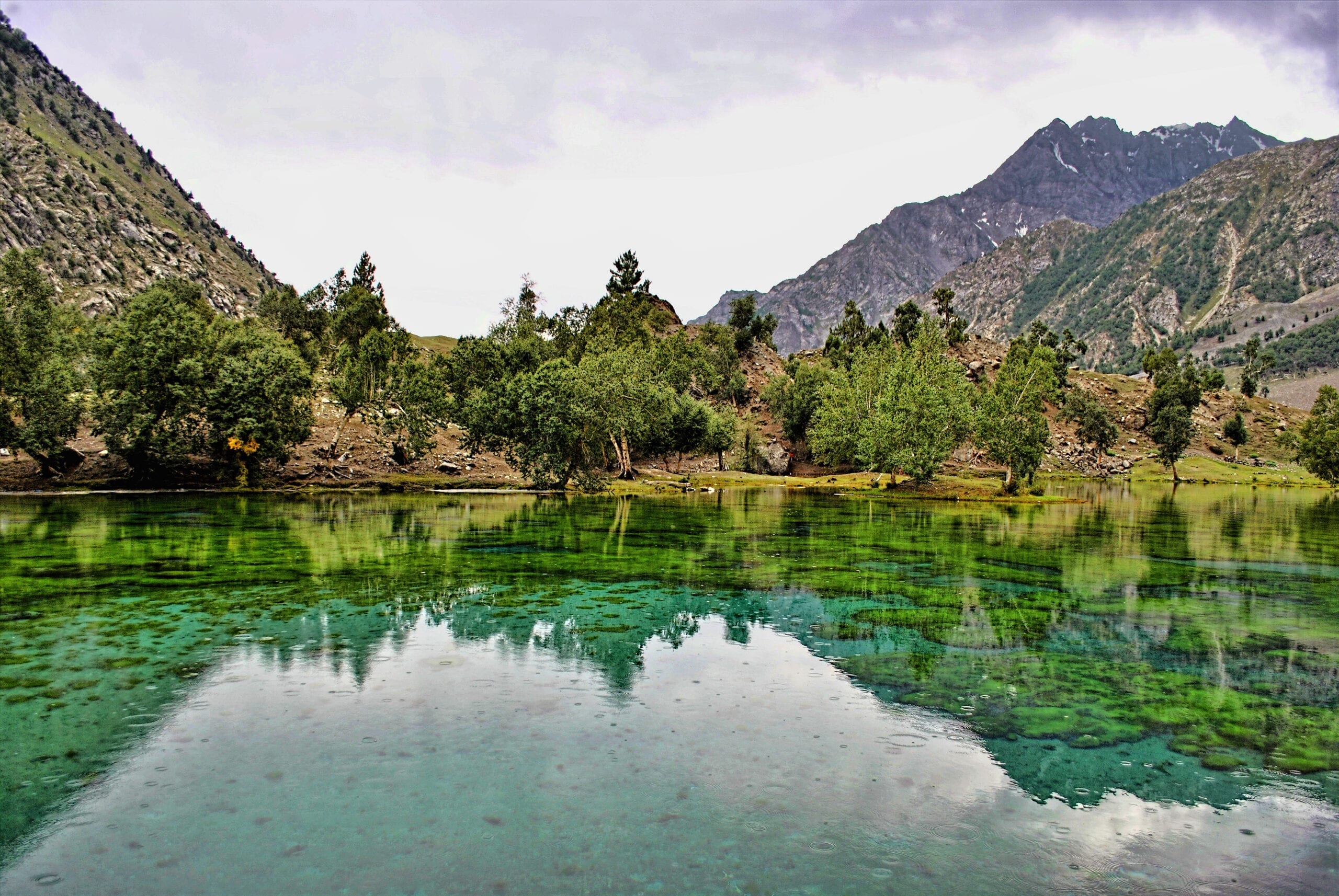 Naltar Valley A Place Abundant With Nature Tripako