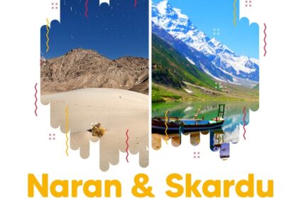 fairy meadows tour package 2023