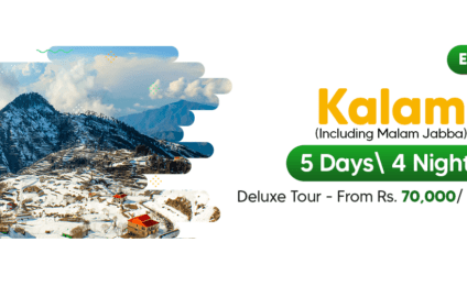 fairy meadows tour package 2023