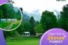 fairy meadows tour package 2023